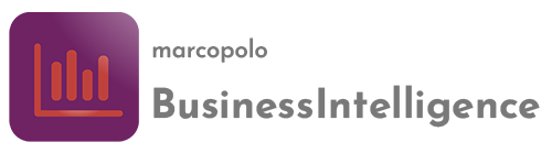 marcopolo-BusinessIntelligence-500